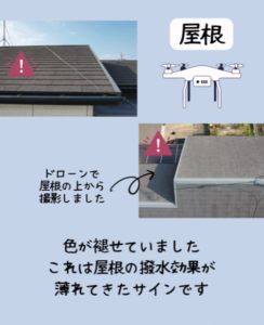 お家の健康診断