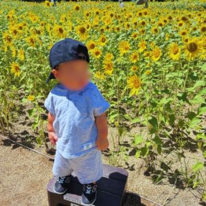 岐阜市　塗り替え相談会