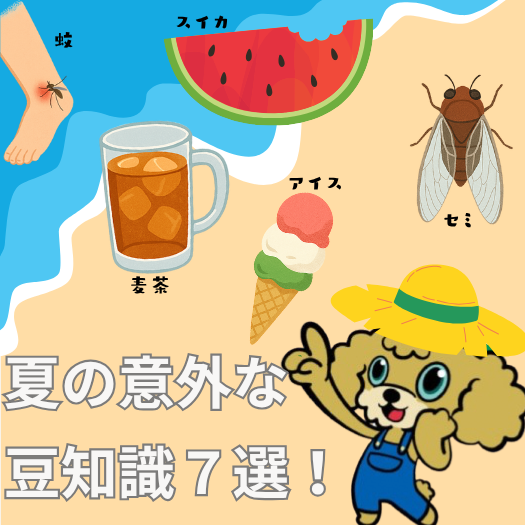 夏にまつわる意外な豆知識7選！
