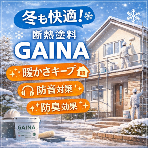 冬場も大活躍のGAINA！！