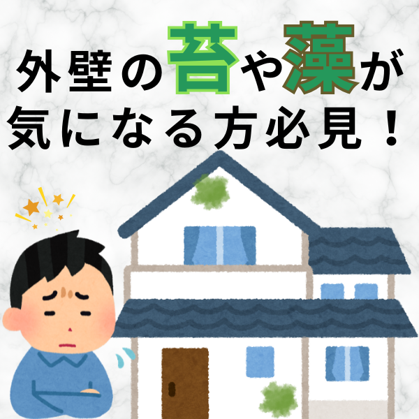 なぜ付着するの?原因と対策、コケに強いおすすめ塗料を解説!
