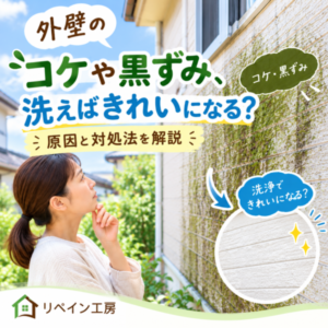 外壁の汚れ
